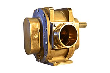 Fire Lion Global Positive Displacement Pump